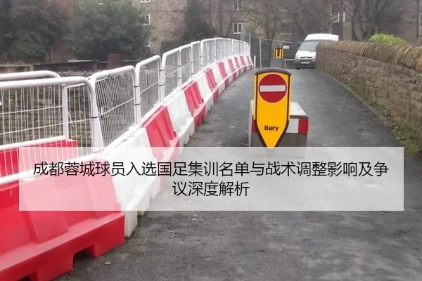 成都蓉城球员入选国足集训名单与战术调整影响及争议深度解析