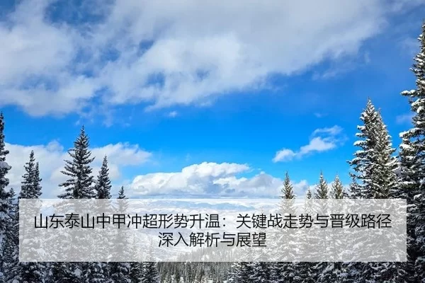 shan-dong-tai-shan-zhong-jia-chong-chao-xing-shi-sheng-wen-guan-jian-zhan-zou-shi-yu-jin-ji-lu-jing-shen-ru-jie-xi-yu-2-987.jpg